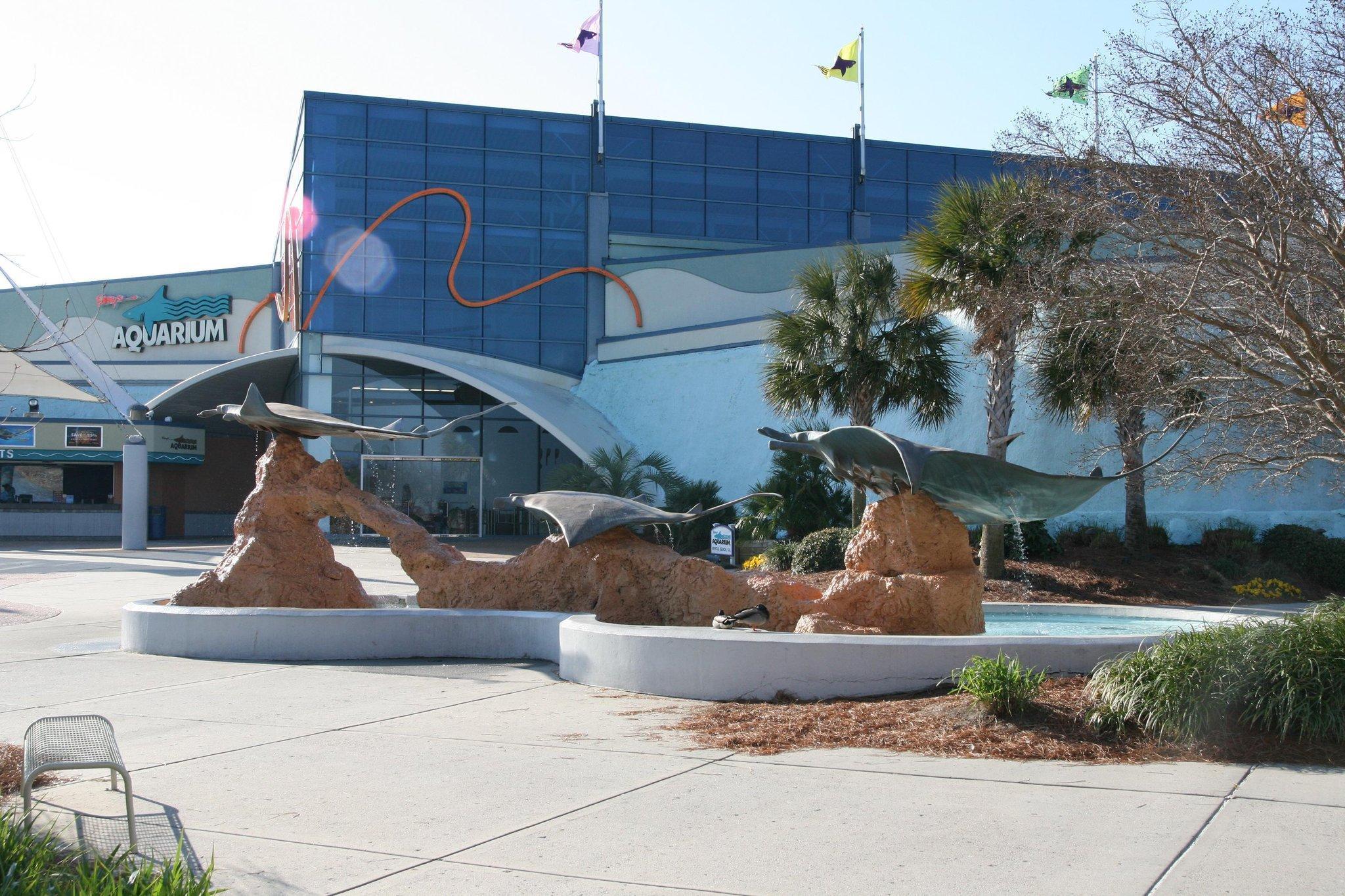 Hampton Inn Myrtle Beach West Socastee Удобства фото
